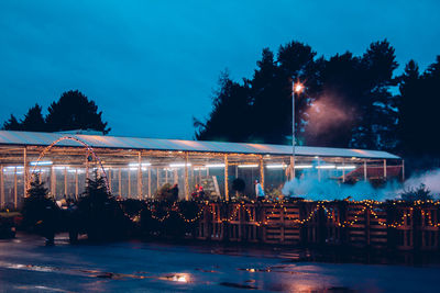 People in illuminated city at night