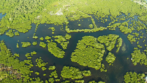 High angle view of leaf floating on water