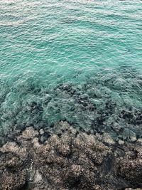 High angle view of sea shore