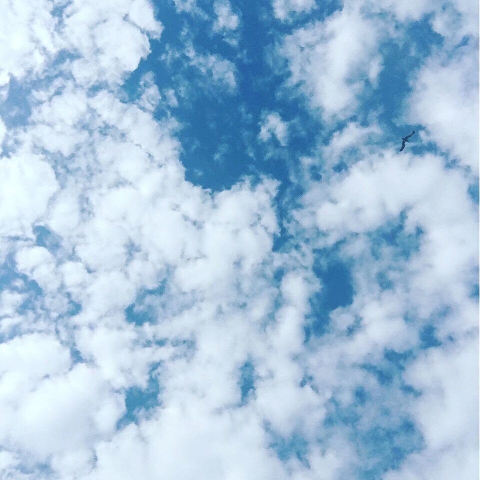 sky, low angle view, cloud - sky, sky only, beauty in nature, cloudy, tranquility, backgrounds, nature, white color, scenics, cloudscape, full frame, tranquil scene, cloud, blue, fluffy, day, white, idyllic