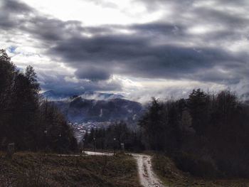 Road amidst trees against sky