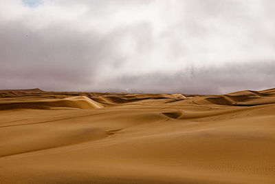 Scenic view of desert against sky