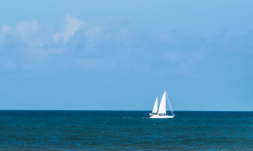 Sailboat sailing on sea against sky