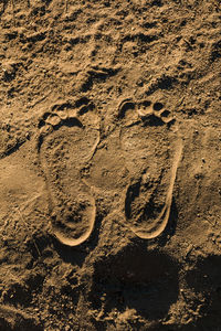 High angle view of footprints on sand