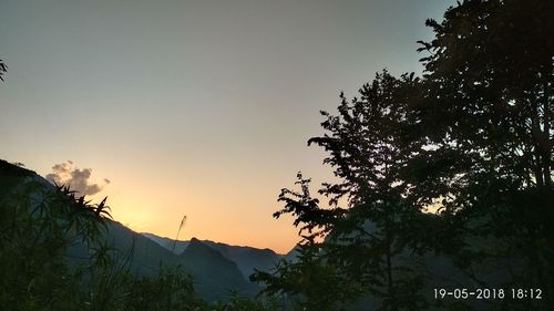 Low angle view of silhouette trees against sky during sunset