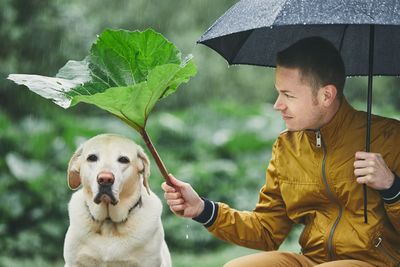 Man with dog holding umbrella