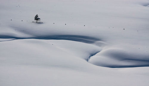 Aerial view of snow covered land