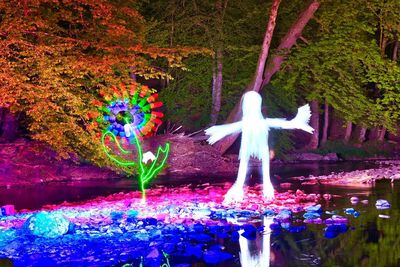 Purple flowers in park at night