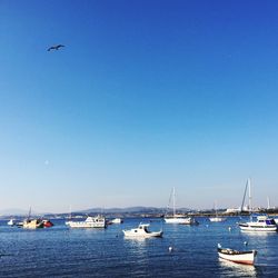 Boats in calm sea against clear sky