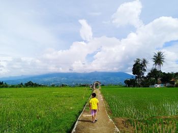 Panoramic morning view of salak mountain, bogor, indonesia