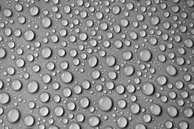 Close-up of water drops on leaf