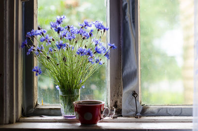 Flower vase on window sill