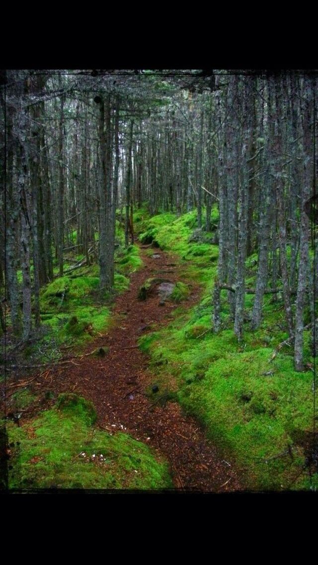 Nova scotia