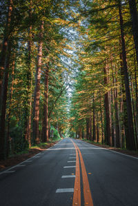 A Serene Road