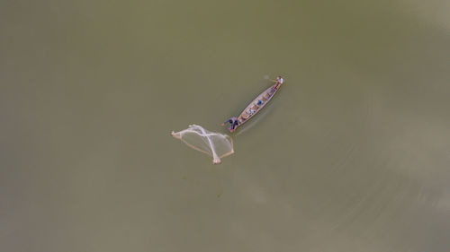 High angle view of fisherman throwing net at river