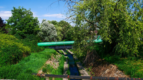 Man in park against sky