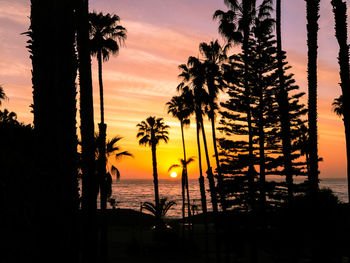 Silhouette palm trees on beach against sky during sunset