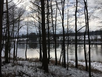 Scenic view of lake in forest