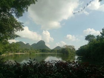 Scenic view of lake by trees against sky