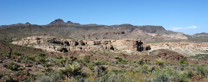 Scenic view of desert against clear sky