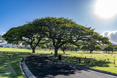 Road amidst trees on field against sky on sunny day