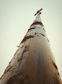 Low angle view of insect against sky