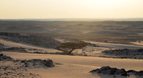 Scenic view of desert against sky during sunset