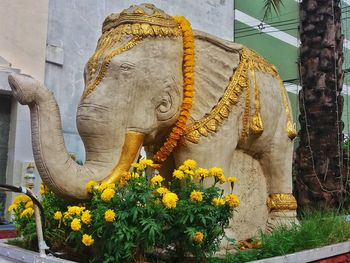 Low angle view of statue against yellow flowers