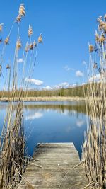 Scenic view of lake against blue sky