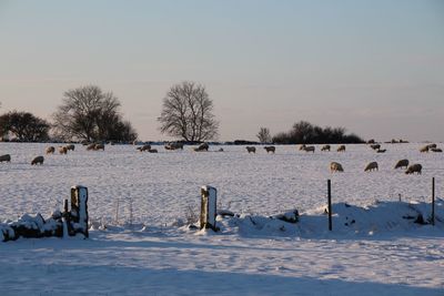 Scenic view of snow covered field against sky