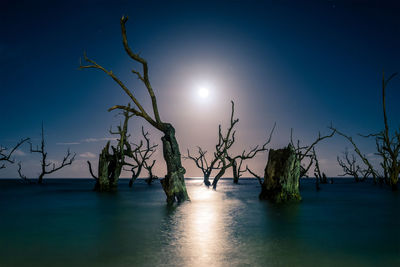 Bare trees in sea against sky at night