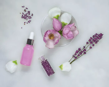 High angle view of pink flowers on table