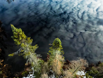 nature