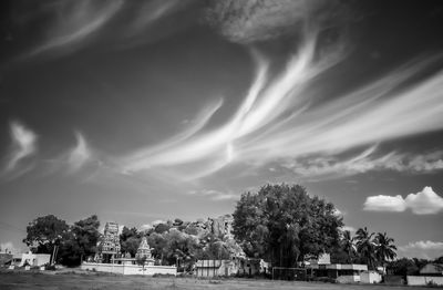 Trees and buildings against sky