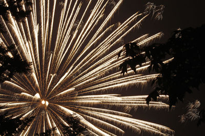 Low angle view of firework display at night