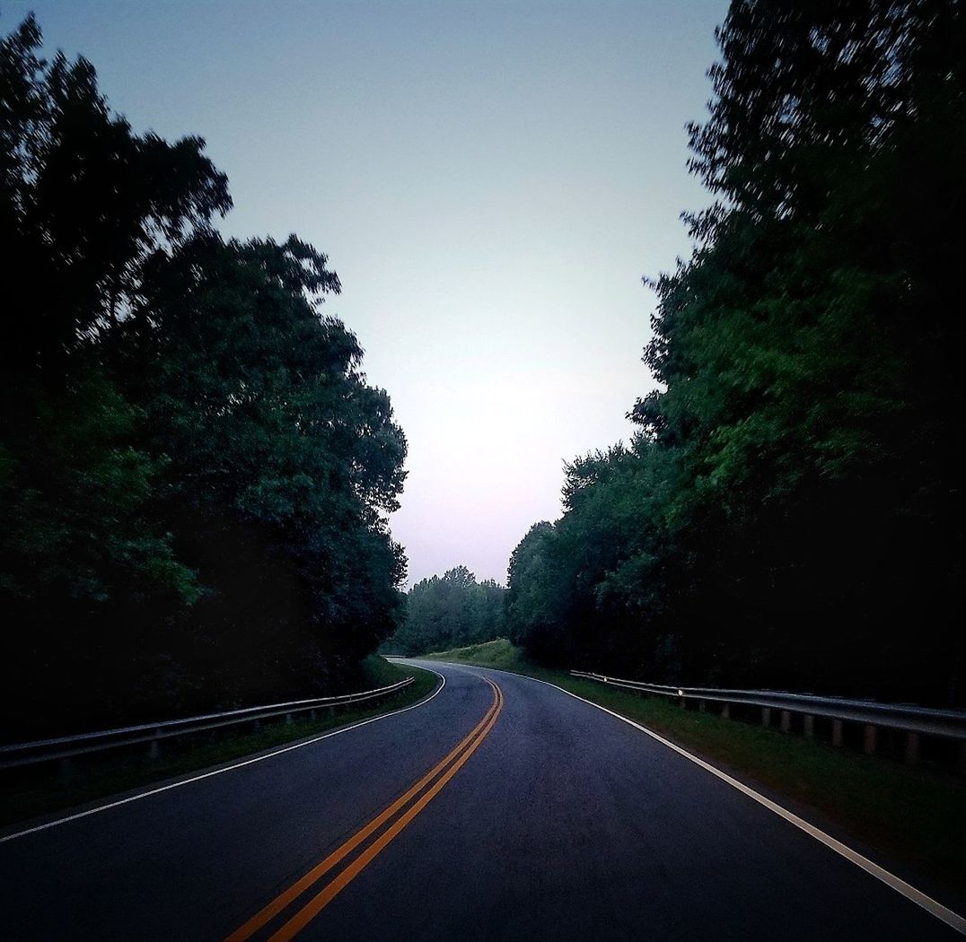 tree, road, direction, transportation, plant, the way forward, sky, road marking, symbol, marking, sign, nature, diminishing perspective, no people, clear sky, day, double yellow line, outdoors, vanishing point, tranquility, dividing line, long