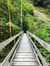 Wooden footbridge amidst trees in forest