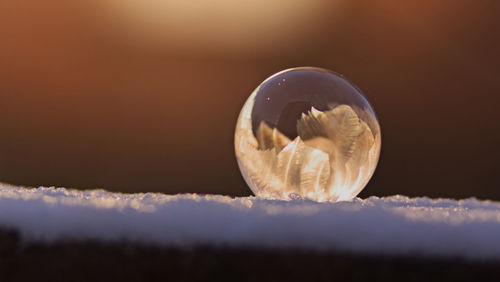Close-up of birds flying against sky