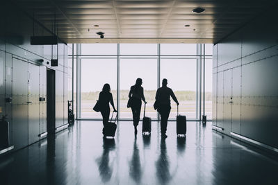 Rear view of silhouette business colleagues pulling luggage while walking in corridor at airport