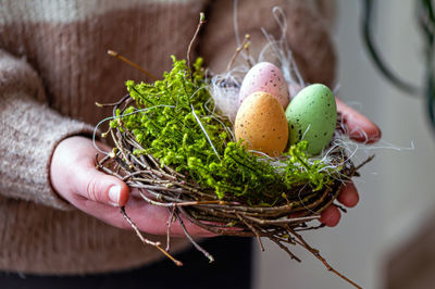 Nest with an colorful easter eggs in female hands, easter decor in rustic style