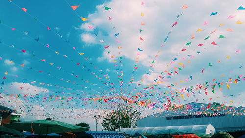 Flock of sky