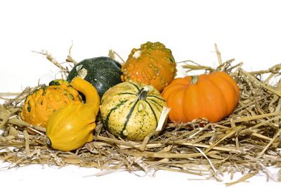 Close-up of pumpkins against yellow background