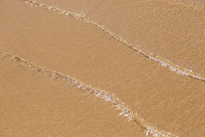 Aerial view of sand at beach