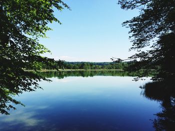 Reflection of trees in calm lake