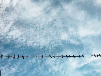 Low angle view of birds perching on cable against sky