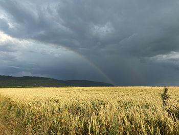 Scenic view of field against rainbow in sky