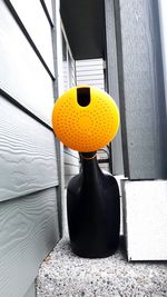 Close-up of yellow lamp