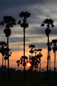 Silhouette palm trees against sky during sunset