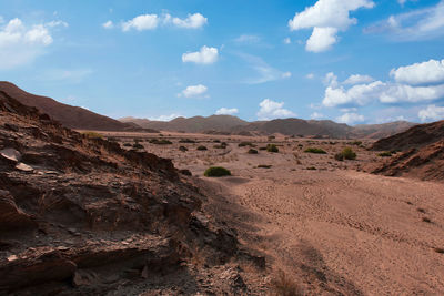 Scenic view of desert against sky