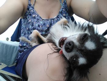 Midsection of woman with cat